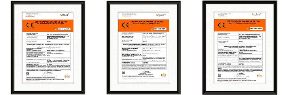 LIONCARE FFP3 Respirators